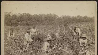 Ku Klux Klan: Zmrtvýchvstání (2/2)