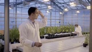 Alkohol - magický nápoj