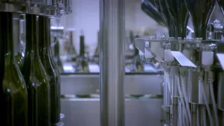 Alkohol - magický nápoj