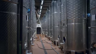 Alkohol - magický nápoj