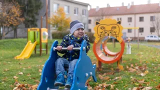 Plné hniezdo v Olomouckom kraji 2