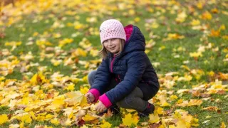 Plné hniezdo v Olomouckom kraji 2