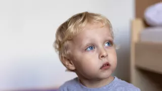 Plné hniezdo v Olomouckom kraji 2