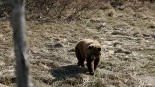 Vražedný národ II (4)