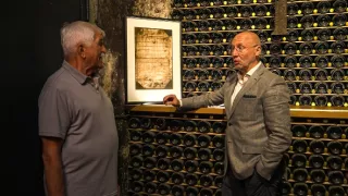 Vínorodé brehy Rýna (2/7)