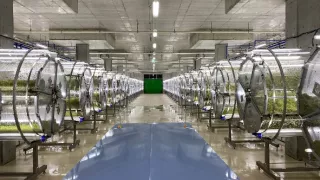 Tajomstvá supertovární II (1)