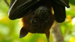 Obrazy přírody skrze různé snímací technologie