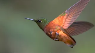 Obrazy přírody skrze různé snímací technologie