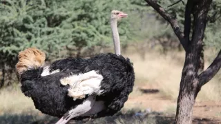 Obrazy přírody skrze různé snímací technologie