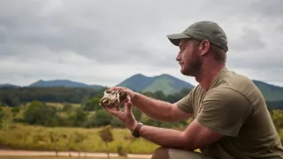 Přírodní válečníci (3)