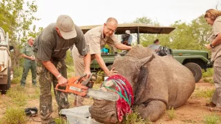 Přírodní válečníci (3)