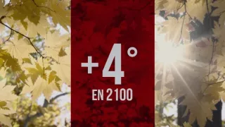 Rok 2050 – dá sa to aj bez mäsa?