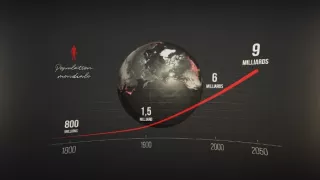 Rok 2050 – dá sa to aj bez mäsa?