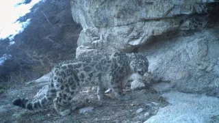 Posledné prírodné raje (6/6)