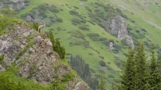 Posledné prírodné raje (6/6)