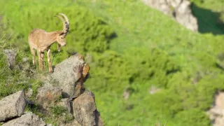 Posledné prírodné raje (6/6)