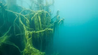 Posledné prírodné raje (6/6)