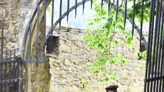 Ján Hus - Cesta bez návratu