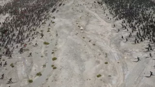 Dračí cisár a jeho ríša