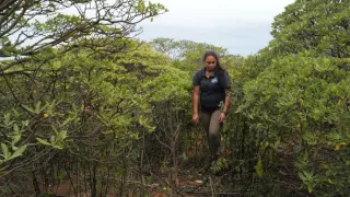 Ostrov Svätá Helena, bašta biodiverzity