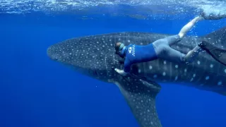 Ostrov Svätá Helena, bašta biodiverzity