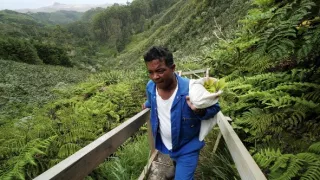 Ostrov Svätá Helena, bašta biodiverzity