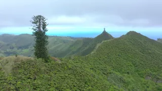 Ostrov Svätá Helena, bašta biodiverzity