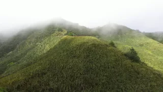 Ostrov Svätá Helena, bašta biodiverzity