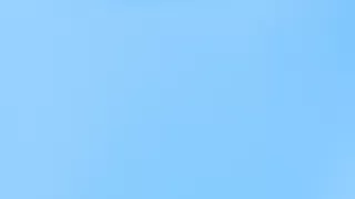 Veľké putovania zvierat