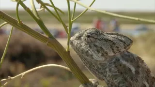 Portugalsko - divočina medzi pevninou a oceánom