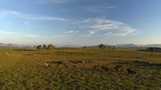 Portugalsko - divočina medzi pevninou a oceánom