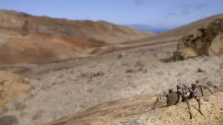 Portugalsko - divočina medzi pevninou a oceánom