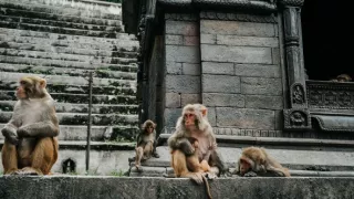 Dobrodružné výlety II (7)