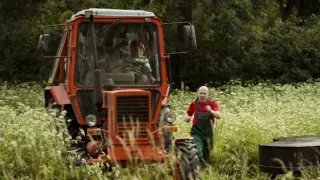 Motýlí srdce