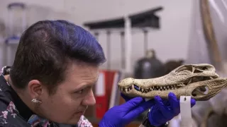 Giganti přírody