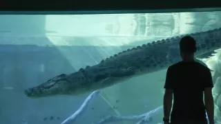 Giganti přírody