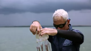 Riečne monštrá VIII (6)