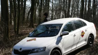 Výměna manželek II