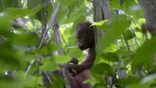 Perfektní rodiče v přírodě