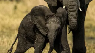 Perfektní rodiče v přírodě