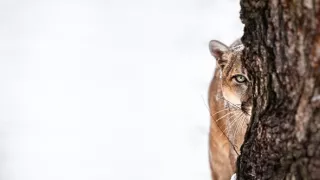 Národný park Big Bend