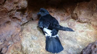 Nezdolné súostrovie