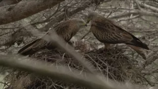 Nezdolné súostrovie