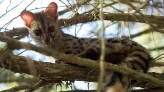 Nezdolné súostrovie