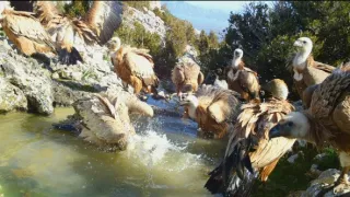 Nezdolné súostrovie