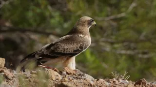 Nezdolné súostrovie