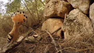 Nezdolné súostrovie