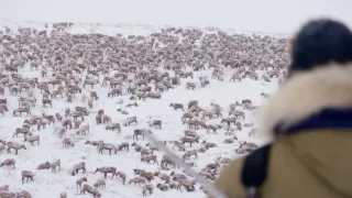 Volanie skutočného severu (2)