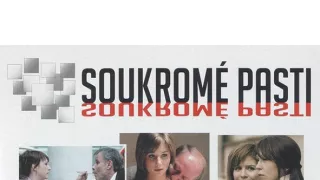 Soukromé pasti