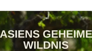 Tajemství asijské divočiny (1)